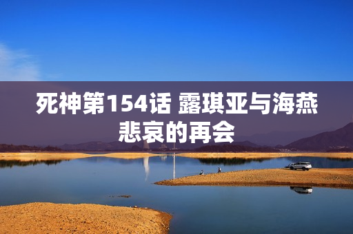 死神第154话 露琪亚与海燕悲哀的再会
