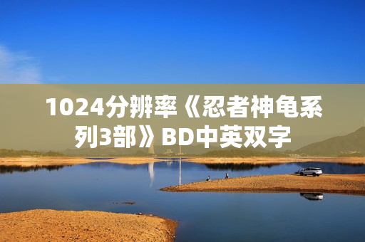 1024分辨率《忍者神龟系列3部》BD中英双字