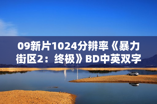 09新片1024分辨率《暴力街区2：终极》BD中英双字
