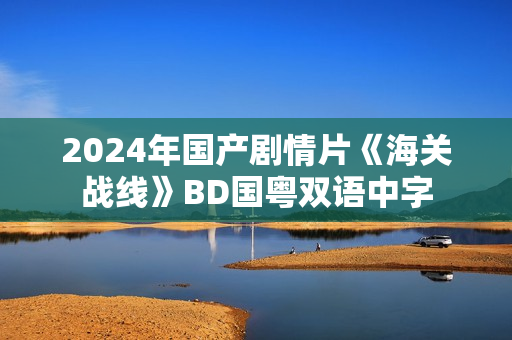 2024年国产剧情片《海关战线》BD国粤双语中字