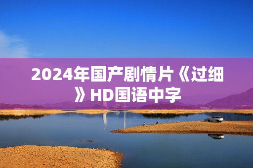 2024年国产剧情片《过细》HD国语中字