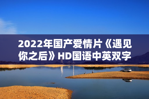 2022年国产爱情片《遇见你之后》HD国语中英双字