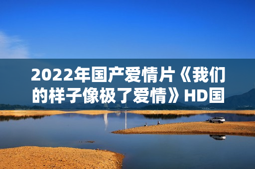 2022年国产爱情片《我们的样子像极了爱情》HD国语中字