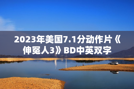 2023年美国7.1分动作片《伸冤人3》BD中英双字