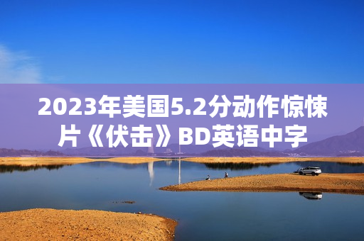 2023年美国5.2分动作惊悚片《伏击》BD英语中字
