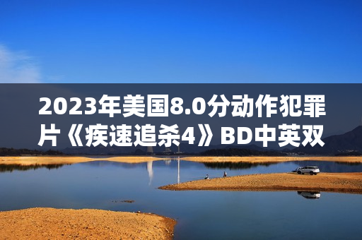 2023年美国8.0分动作犯罪片《疾速追杀4》BD中英双字