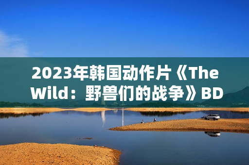 2023年韩国动作片《The Wild：野兽们的战争》BD韩语中字