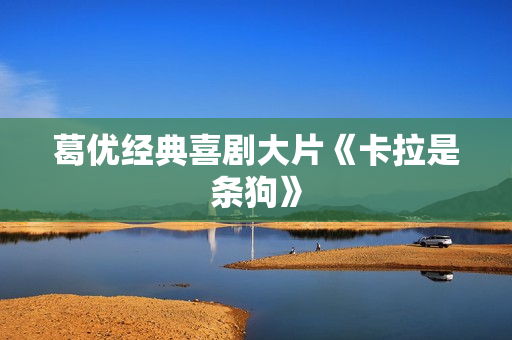 葛优经典喜剧大片《卡拉是条狗》