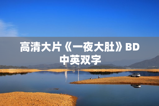 高清大片《一夜大肚》BD中英双字