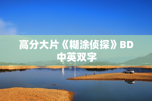 高分大片《糊涂侦探》BD中英双字