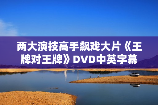 两大演技高手飙戏大片《王牌对王牌》DVD中英字幕