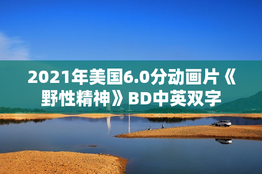 2021年美国6.0分动画片《野性精神》BD中英双字