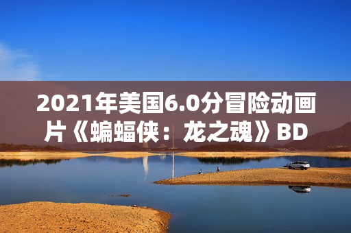 2021年美国6.0分冒险动画片《蝙蝠侠：龙之魂》BD中英双字