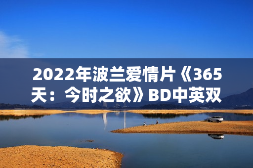2022年波兰爱情片《365天：今时之欲》BD中英双字