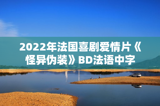 2022年法国喜剧爱情片《怪异伪装》BD法语中字