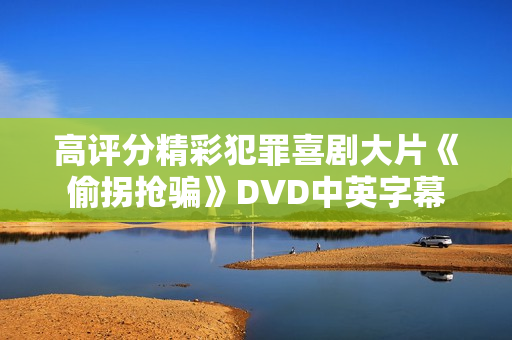 高评分精彩犯罪喜剧大片《偷拐抢骗》DVD中英字幕