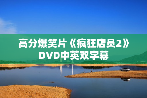 高分爆笑片《疯狂店员2》DVD中英双字幕