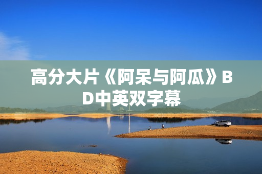 高分大片《阿呆与阿瓜》BD中英双字幕