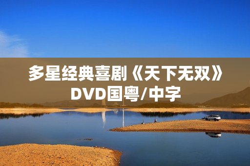 多星经典喜剧《天下无双》DVD国粤/中字