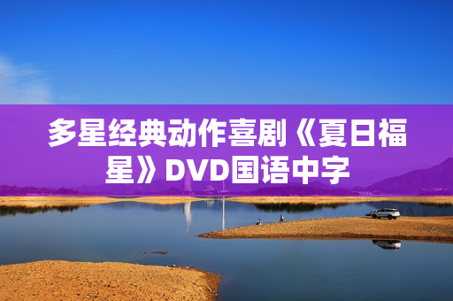 多星经典动作喜剧《夏日福星》DVD国语中字