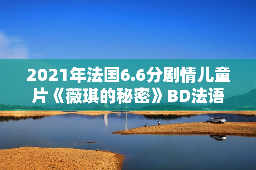 2021年法国6.6分剧情儿童片《薇琪的秘密》BD法语中字