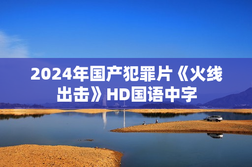 2024年国产犯罪片《火线出击》HD国语中字