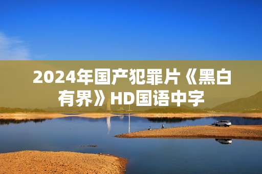 2024年国产犯罪片《黑白有界》HD国语中字