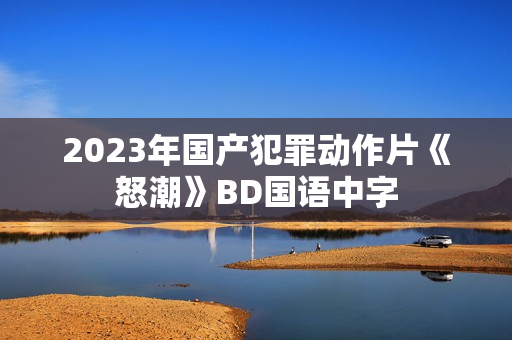 2023年国产犯罪动作片《怒潮》BD国语中字