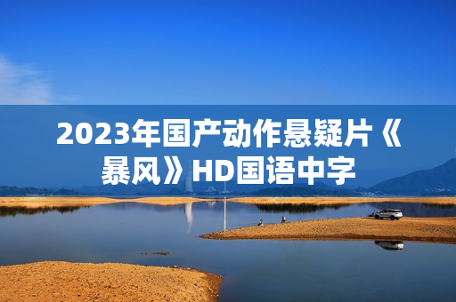 2023年国产动作悬疑片《暴风》HD国语中字