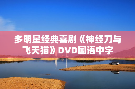 多明星经典喜剧《神经刀与飞天猫》DVD国语中字