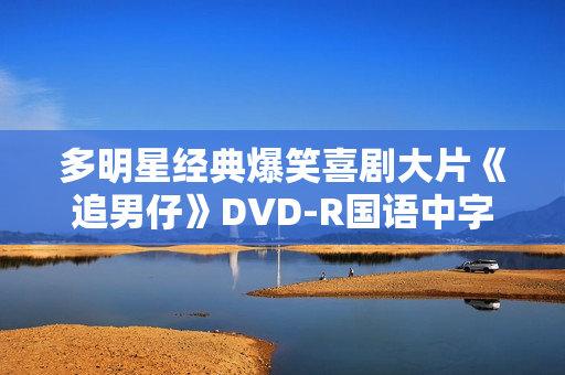 多明星经典爆笑喜剧大片《追男仔》DVD-R国语中字