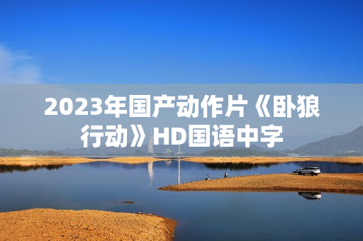 2023年国产动作片《卧狼行动》HD国语中字