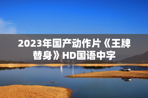 2023年国产动作片《王牌替身》HD国语中字