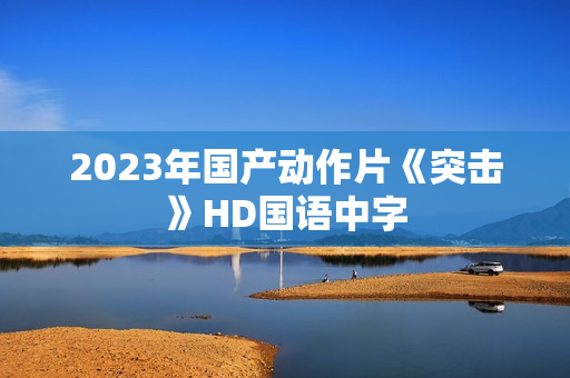 2023年国产动作片《突击》HD国语中字