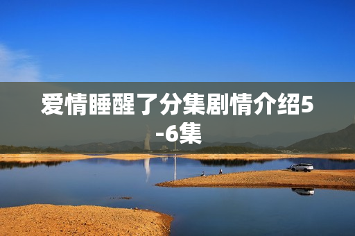 爱情睡醒了分集剧情介绍5-6集