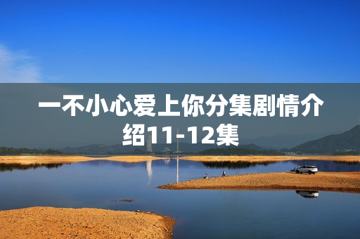 一不小心爱上你分集剧情介绍11-12集