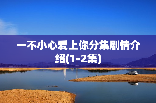 一不小心爱上你分集剧情介绍(1-2集)