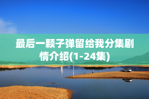 最后一颗子弹留给我分集剧情介绍(1-24集)