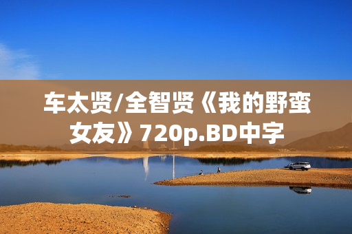 车太贤/全智贤《我的野蛮女友》720p.BD中字