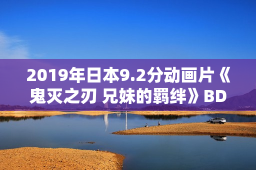 2019年日本9.2分动画片《鬼灭之刃 兄妹的羁绊》BD日语中字