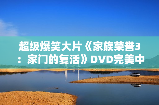 超级爆笑大片《家族荣誉3：家门的复活》DVD完美中字