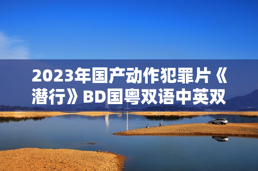 2023年国产动作犯罪片《潜行》BD国粤双语中英双字