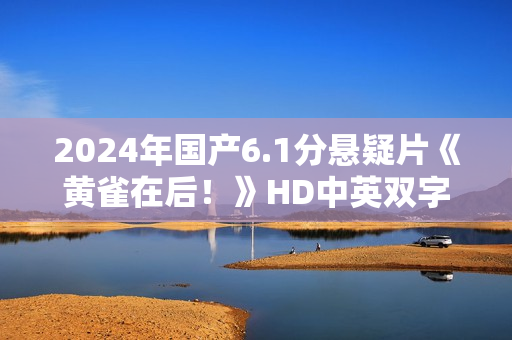 2024年国产6.1分悬疑片《黄雀在后！》HD中英双字