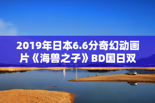 2019年日本6.6分奇幻动画片《海兽之子》BD国日双语中字