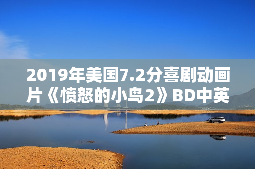 2019年美国7.2分喜剧动画片《愤怒的小鸟2》BD中英双字修复