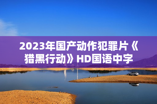 2023年国产动作犯罪片《猎黑行动》HD国语中字