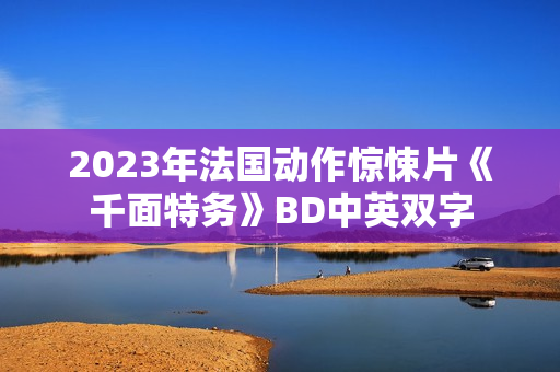 2023年法国动作惊悚片《千面特务》BD中英双字