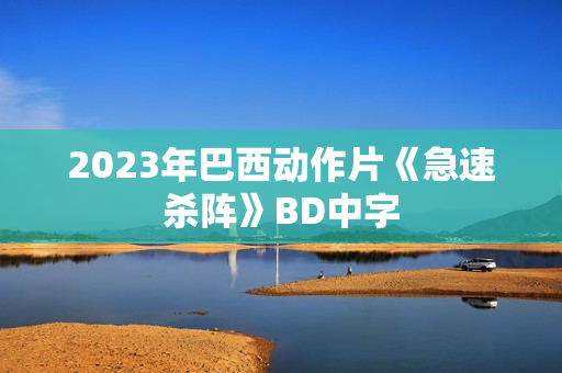 2023年巴西动作片《急速杀阵》BD中字