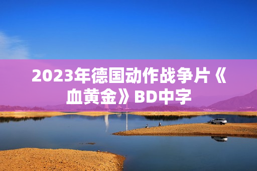 2023年德国动作战争片《血黄金》BD中字