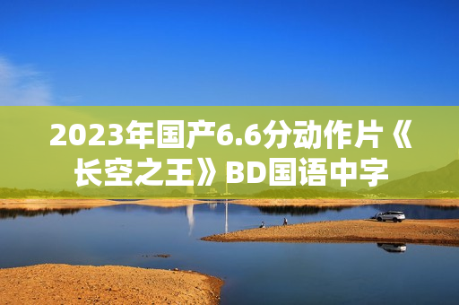 2023年国产6.6分动作片《长空之王》BD国语中字